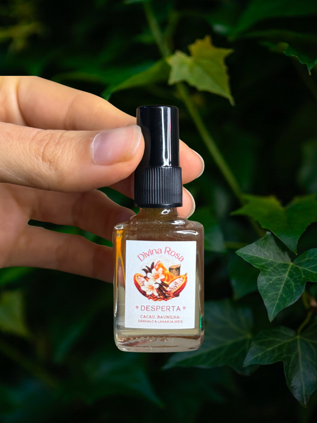 Desperta — Cacau, baunilha, sândalo & laranja doce