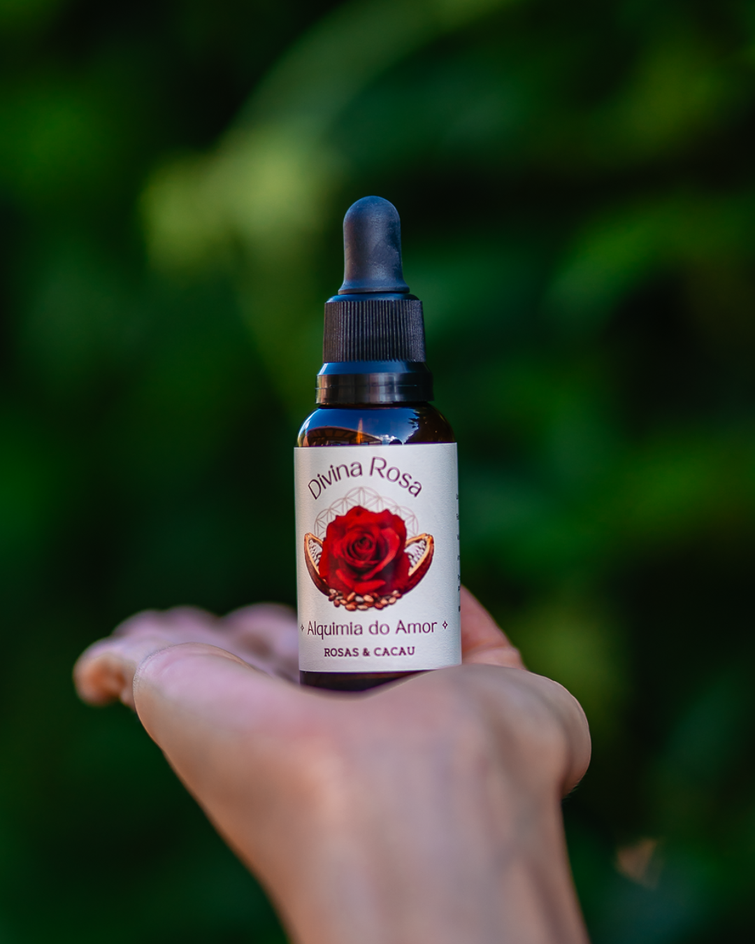 Alquimia do Amor — Rosa vermelha & cacau